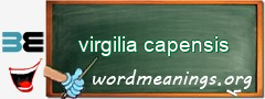 WordMeaning blackboard for virgilia capensis
